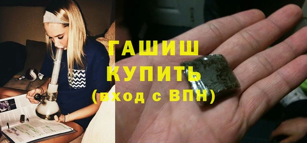 шишки Гусиноозёрск