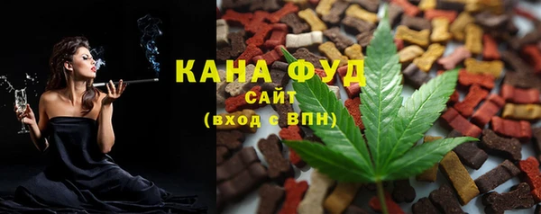 мет Дмитров