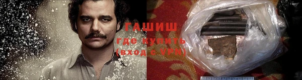 шишки Гусиноозёрск