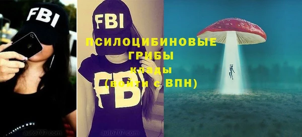 а пвп мука Дмитриев