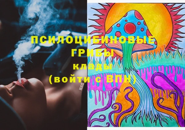 mdma Гусь-Хрустальный