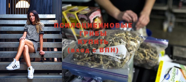 а пвп мука Дмитриев