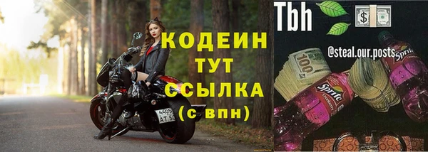 шишки Гусиноозёрск