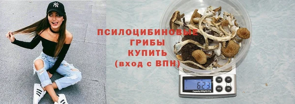 шишки Гусиноозёрск