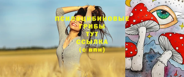 мет Дмитров