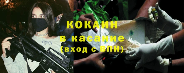 мет Дмитров